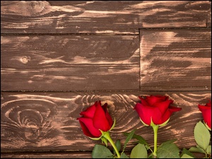Trzy czerwone róże na deskach