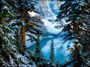 Prowincja Alberta, Park Narodowy Banff, Zima, Kanada, Drzewa, Góry, Jezioro Moraine