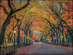 Aleja, Stany Zjednoczone, Drzewa, Ĺawki, Nowy Jork, Latarnie, JesieĹ, Central Park