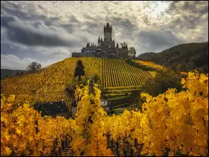 Zamek Reichsburg na wzgórzu winnic w gminie Cochem w Niemczech