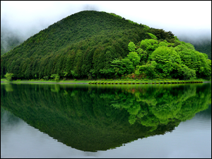 Zielona góra nad jeziorem w Japonii