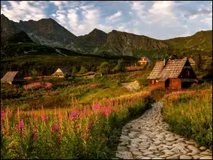 Drewniane domy na Hali Gąsienicowej w Tatrach