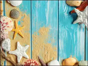Muszelki i rozgwiazdy na rozsypanym piasku na deskach