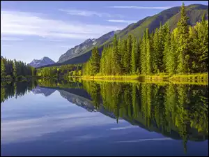 Las, Park Narodowy Banff, Góry, Rzeka, Prowincja Alberta, Drzewa, Bow River, Kanada