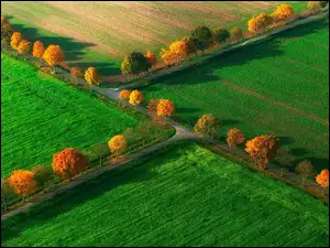 Polne drogi z jesiennymi drzewami