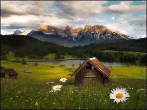 Kwiatki, Domki, Jezioro Geroldsee, Bawaria, Góry Alpy, Łąka, Niemcy, Lasy