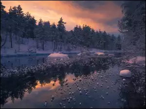 Zimowe jezioro z drzewami w Norwegii
