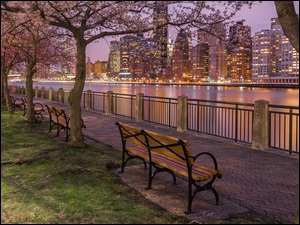 Ławki z widokiem na cieśninę East River i wieżowce na Manhattanie w Nowym Jorku