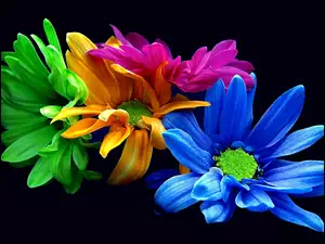 Kwiaty, Niebieskie, Zielone