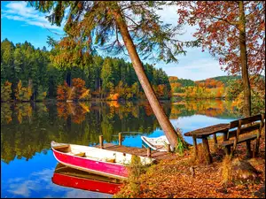 Ławka z widokiem na łódkę przy pomoście i drzewa nad jeziorem
