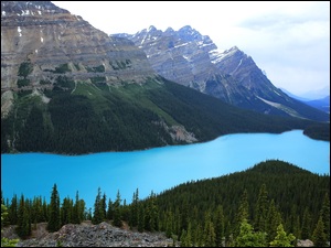 Jezioro, Peyto Lake, Kanada, Park Narodowy Banff, Prowincja Alberta, Drzewa, Góry