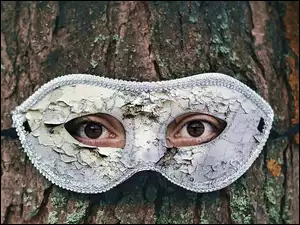 Piwne oczy w masce przywiązanej do drzewa