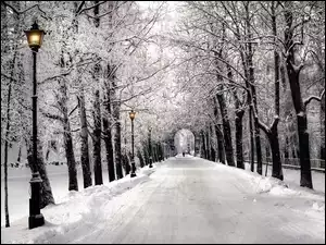 Śnieg, Park, Alejka, Latarnie