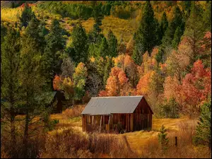 Drewniany dom w Dolinie Hope jesienią