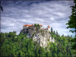 Zamek na leśnym wzgórzu