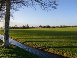 Holenderski kanał między polami