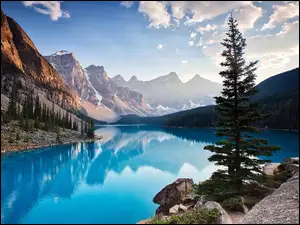 Prowincja Alberta, Kanada, Jezioro Moraine, Góry, Park Narodowy Banff, Drzewa