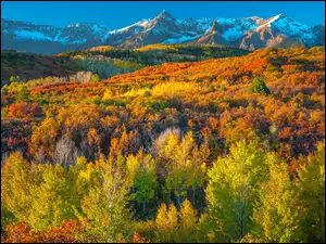 Kolorado, Góry, Drzewa, Stany Zjednoczone, Las, Jesień, San Juan Mountains