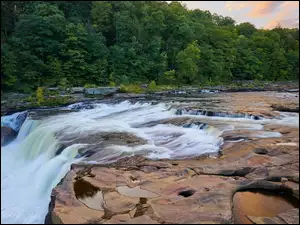 Youghiogheny River, Wodospad, Las, Pensylwania, Ohiopyle Falls, Rzeka, Stany Zjednoczone, Drzewa