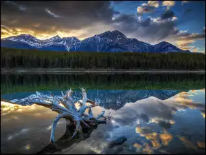 Prowincja Alberta, Park Narodowy Jasper, Jezioro Patricia Lake, Kanada, Chmury, Las, Góry
