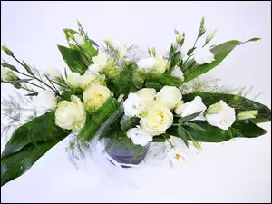 Eustoma, Bukiet, Kwiaty
