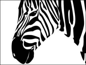 2D, Zebra