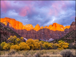Drzewa, Jesień, Stany Zjednoczone, Góry, Utah, Park Narodowy Zion, Chmury