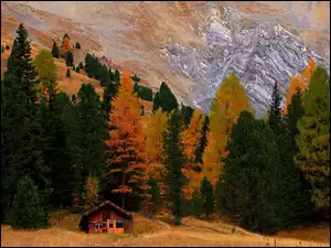 Dom, Góry, Drzewa, Jesień, Stok