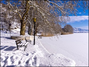 Zimowy krajobraz w parku nad jeziorem