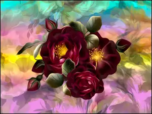 Trzy kwiaty graficznej róży