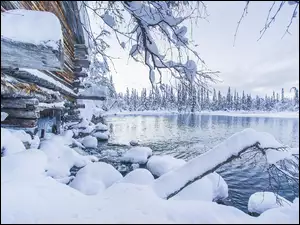 Jezioro, Śnieg, Drzewa, Dom