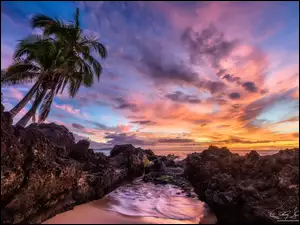 Ciemne chmury nad skalnym brzegiem morza z palmami na Hawajach