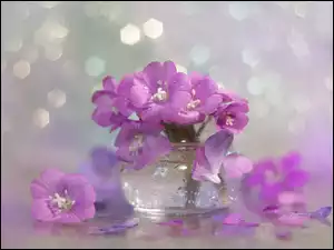 Fioletowe kwiaty w wazoniku