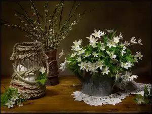 Białe kwiaty w konewce obok jajek w koszyku