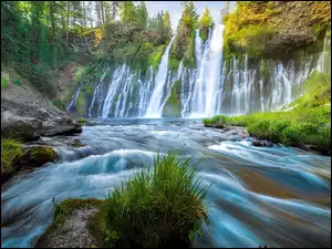 Hrabstwo Shasta, Wodospad, Rzeka, Stan Kalifornia, Burney Falls, Park McArthur Burney Falls, Stany Zjednoczone, Drzewa