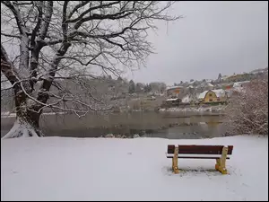 Drzewo i ławka w śniegu na brzegu jeziora