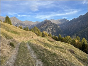 Trawiasta ścieżka na szczycie z widokiem Alpy Lepontyńskie