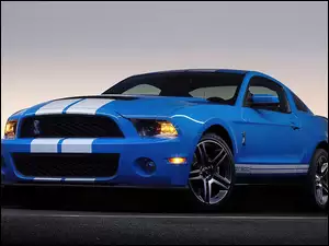 Shelby, Ford Mustang GT 500, Pakiet