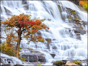 Park Narodowy Doi Inthanon, JesieĹ, Wodospad, Chiang Mai, Drzewo, Mae Ya Waterfall, Tajlandia, SkaĹy