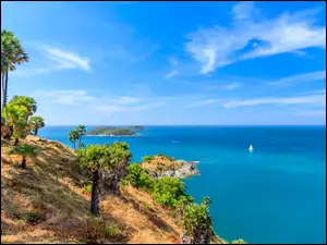 Cape Phrom Thep, Drzewa, Przylądek, Tajlandia, Morze Andamańskie