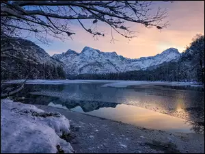 Góry, Austria, Almsee, Drzewa, Jezioro, Zima