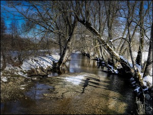 Drzewa w śniegu na brzegach płytkiej rzeki