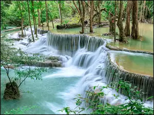 Park Narodowy Khuean Srinagarindra, Las, Kamienie, Prowincja Kanchanaburi, Drzewa, Wodospad Huai Mae Khamin, Tajlandia, RoĹliny