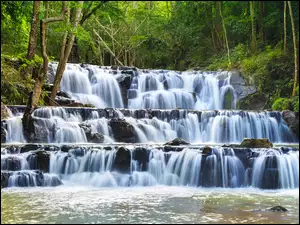 Las, Drzewa, Tajlandia, Wodospad Samlan, Saraburi, Prowincja, Park Narodowy Namtok Phlio