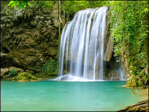 Park Narodowy Erawan, Wodospad, Korzenie, Prowincja Kanchanaburi, Erawan Waterfall, RoĹliny, Tajlandia, Drzewo