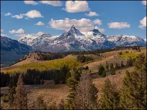 Absaroka Range, Szczyty, Stany Zjednoczone, Góry, Wyoming, Wzgórza, Drzewa