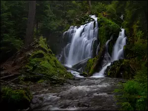 Wodospad na omszaĹej skale w zielonym lesie