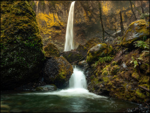 Wodospad spadajÄcy po omszonej skale w lesie