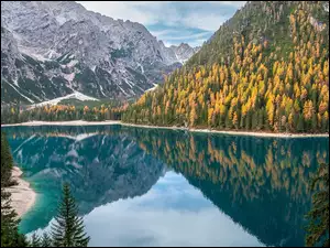 Jezioro, Pragser Wildsee, WĹochy, GĂłry, Odbicie, Drzewa, ĹťĂłĹte