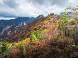 Jesienny krajobraz Parku Narodowego Saoraksan w Korei PoĹudniowej